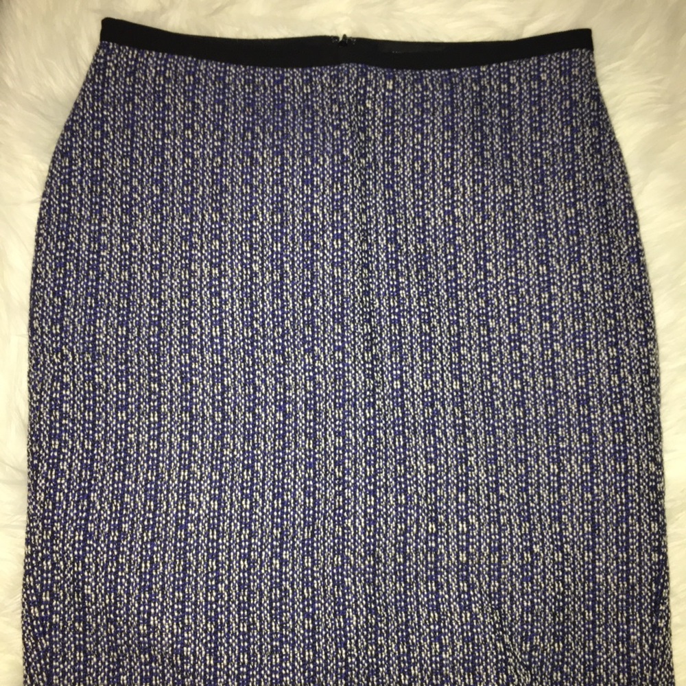 Ann Taylor skirt